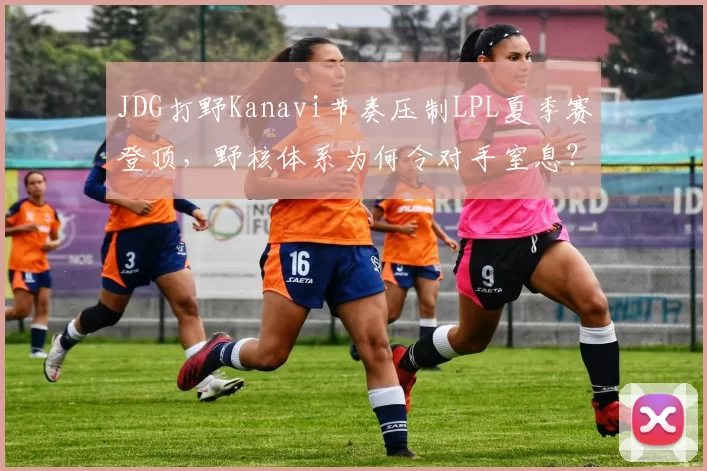 JDG打野Kanavi节奏压制LPL夏季赛登顶，野核体系为何令对手窒息？