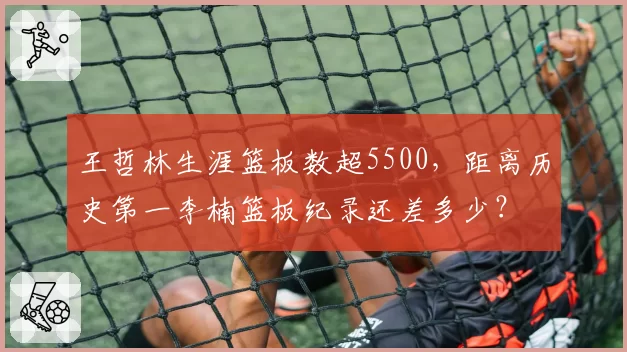 王哲林生涯篮板数超5500,距离历史第一李楠篮板纪录还差多少?