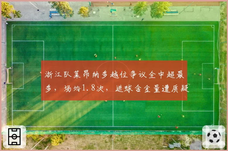 浙江队莱昂纳多越位争议全中超最多，场均1.8次，进球含金量遭质疑