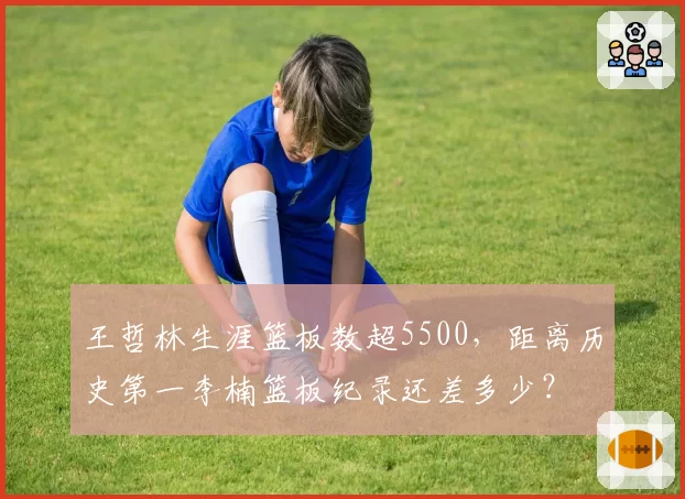 王哲林生涯篮板数超5500，距离历史第一李楠篮板纪录还差多少？