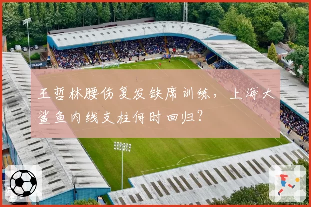 王哲林腰伤复发缺席训练，上海大鲨鱼内线支柱何时回归？