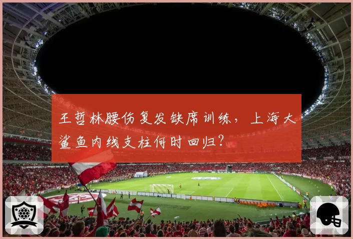 王哲林腰伤复发缺席训练，上海大鲨鱼内线支柱何时回归？